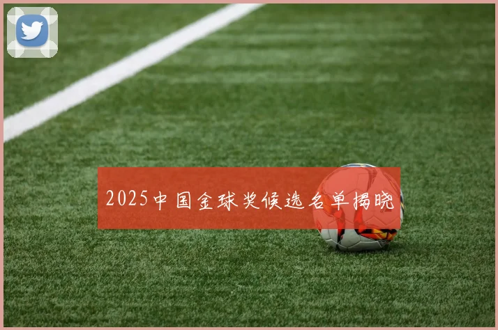 2025中国金球奖候选名单揭晓