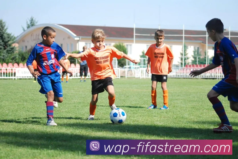 世界杯手机直播网站APP 封面图